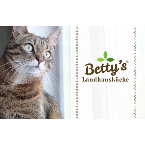 牛肉のブイヨン煮込み 100g for Cat (ベティおばあちゃんのキャットフード)