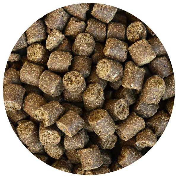 【リニューアル】プレミアムケア 1kg for Dog