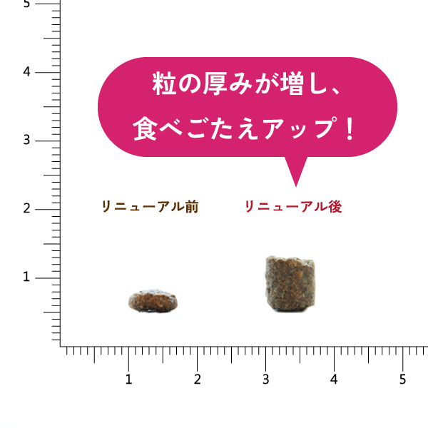 【リニューアル】プレミアムケア 8kg for Dog