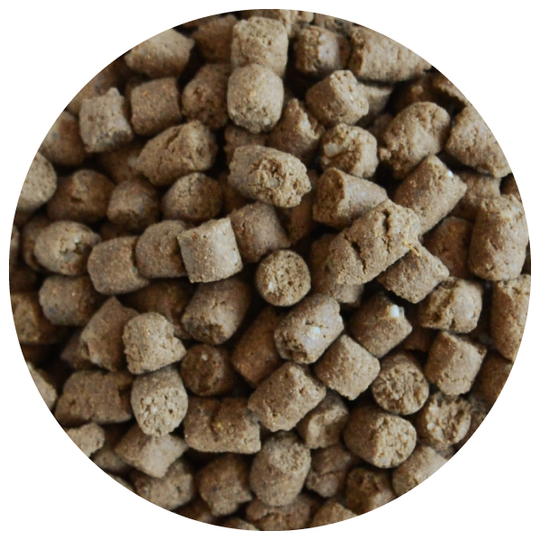 【リニューアル】プレミアムケア 8kg for Dog