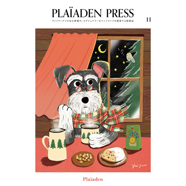 PLAIADEN PRESS vol.11