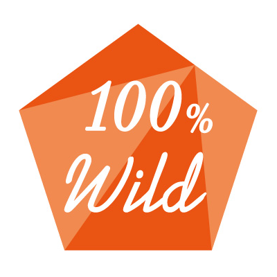 プレイアーデン 商標取得済み 100％Wild アイコン